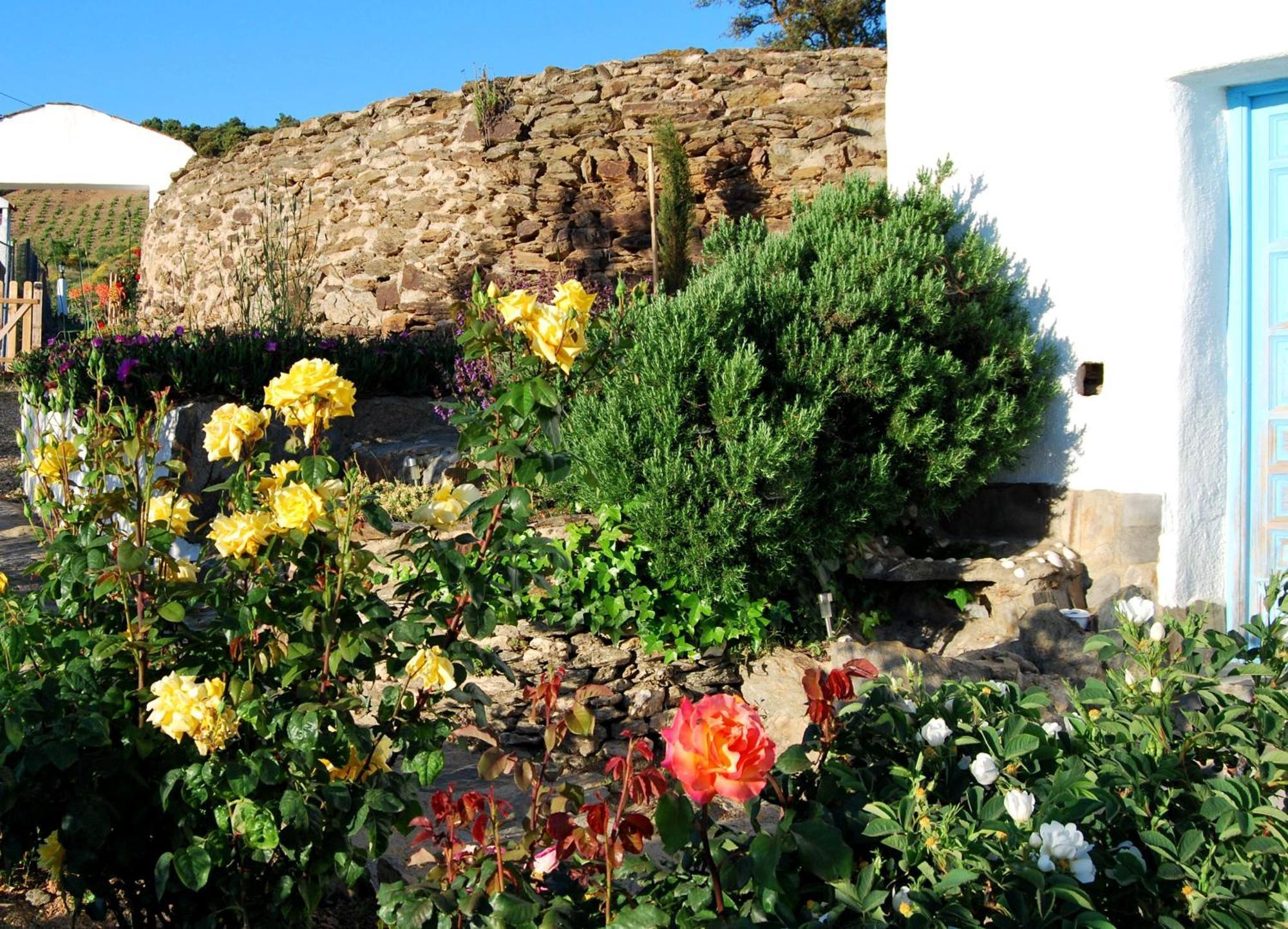 Cortijo Los Maximos Turon Экстерьер фото