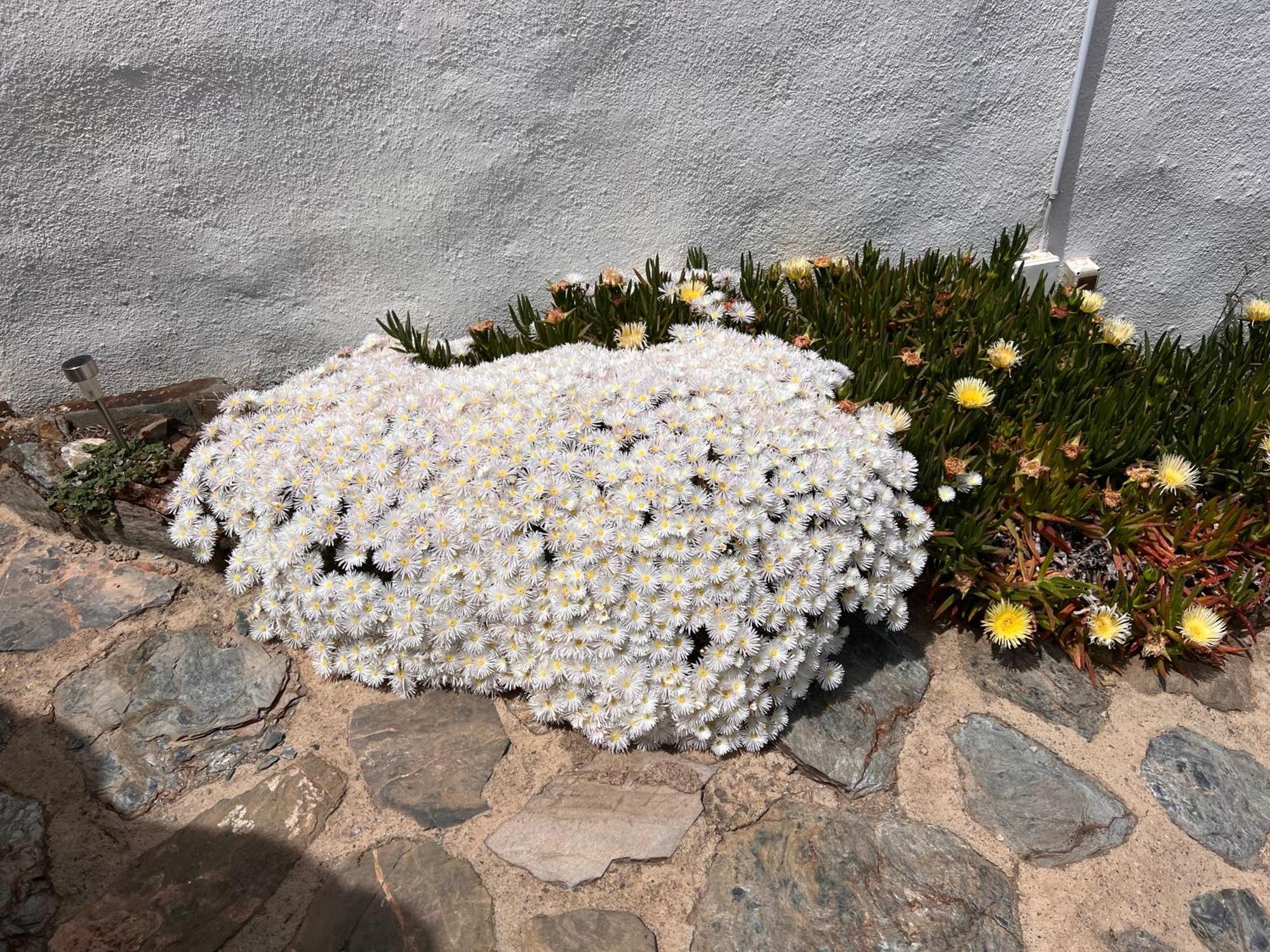 Cortijo Los Maximos Turon Экстерьер фото