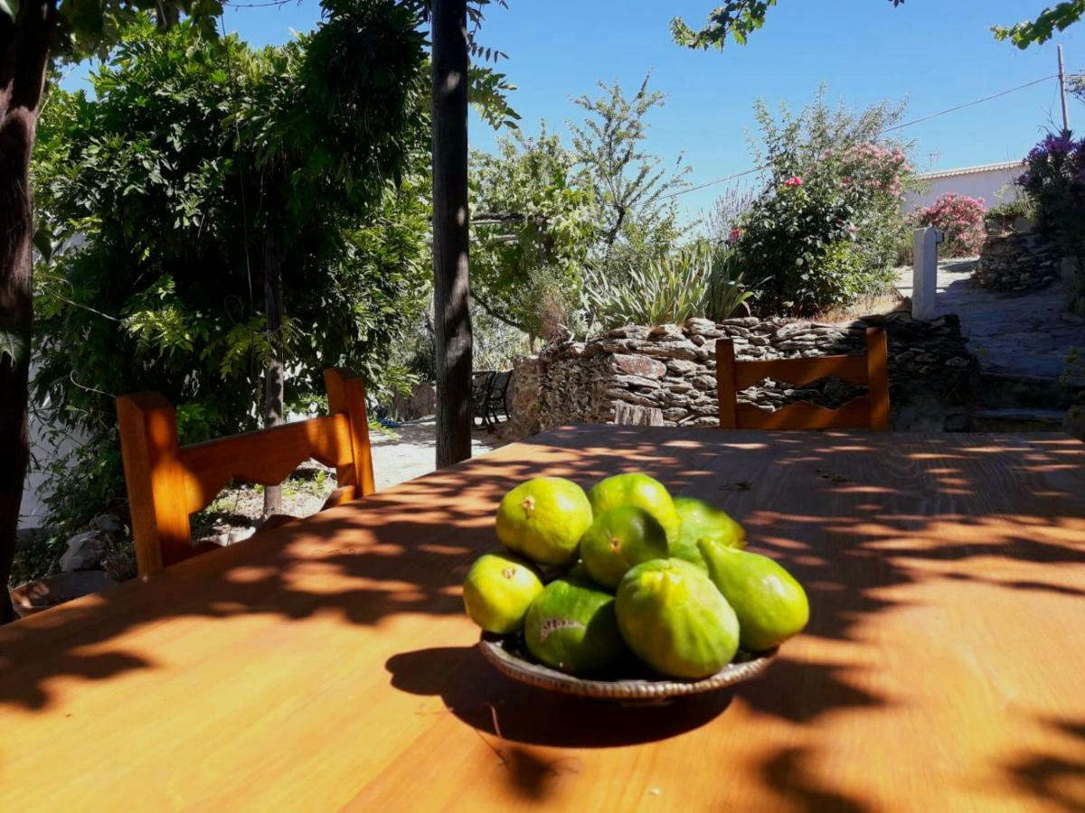 Cortijo Los Maximos Turon Экстерьер фото