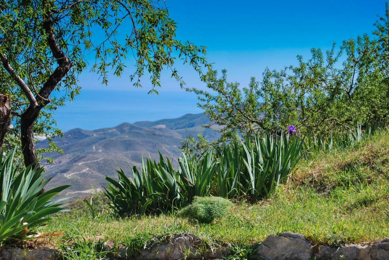 Cortijo Los Maximos Turon Экстерьер фото
